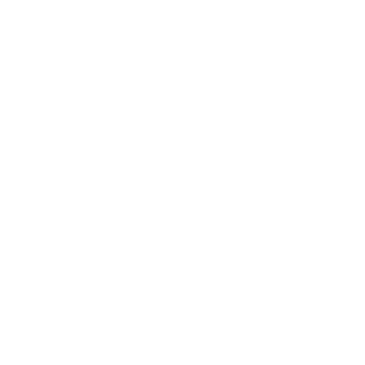 Quick Cleaning Services Icon